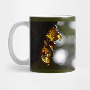 Beautiful Amber Photography Mug